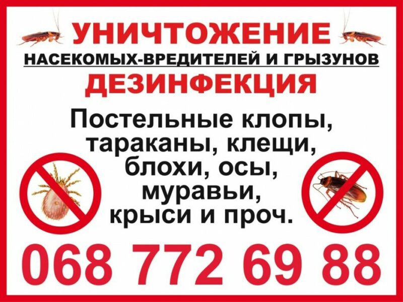 Услуги по уничтожению тараканов и клопов